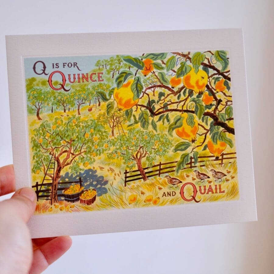 Carte de voeux Alphabet Q is for Quince & Quail – Image 3